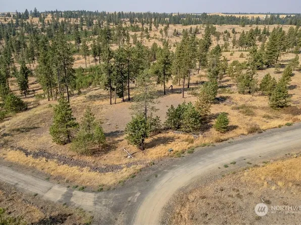 1 Lot, Dalloul, Meadow Lane, Davenport, WA 99122