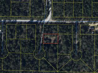 25 Canterbury Ct, Defuniak Springs, FL 32433