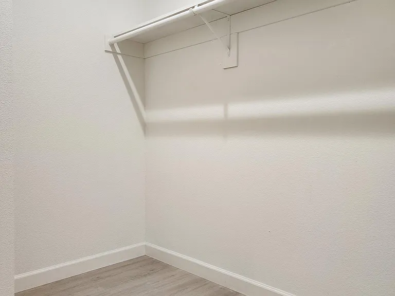 Primary Walk-in Closet