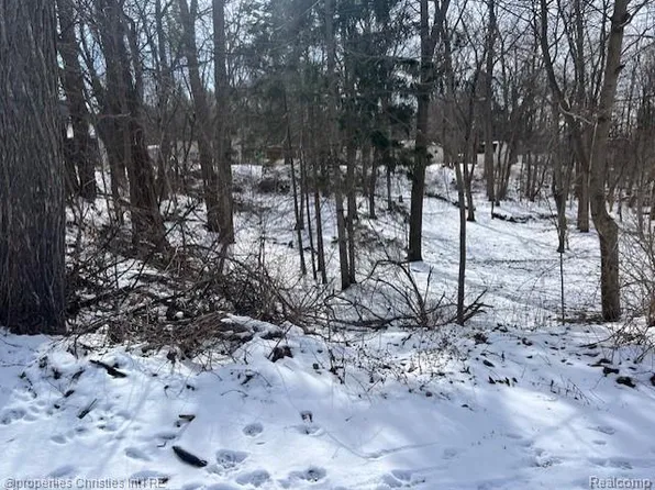 439 Alberta St Lot 81, Auburn Hills, MI 48326