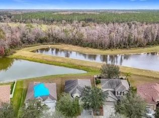 10918 Ancient Futures Dr, Tampa, FL 33647