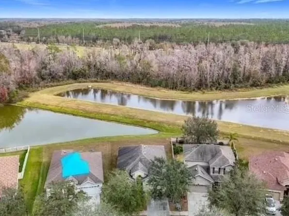 10918 Ancient Futures Dr, Tampa, FL 33647