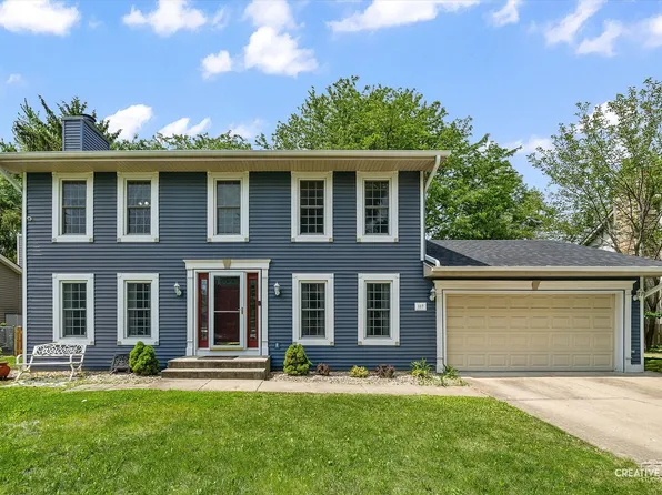 117 S Birchwood Dr, Naperville, IL 60540