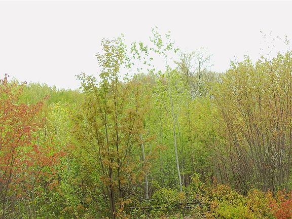 4th image of LOT 5 BEAVER DAM RD