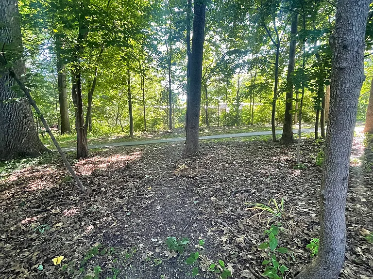 19002 Stedwick Dr — Photo 39