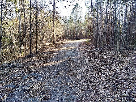 Road way Fall of 2019