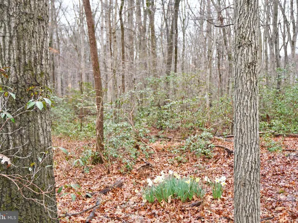 Nottingham Rd, Elkton, MD 21921