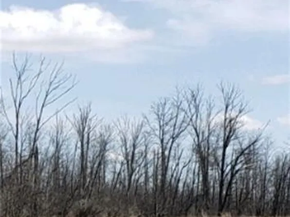 Lot 21 South Church Street, Thorp, WI 54771