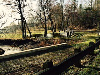 Creek View