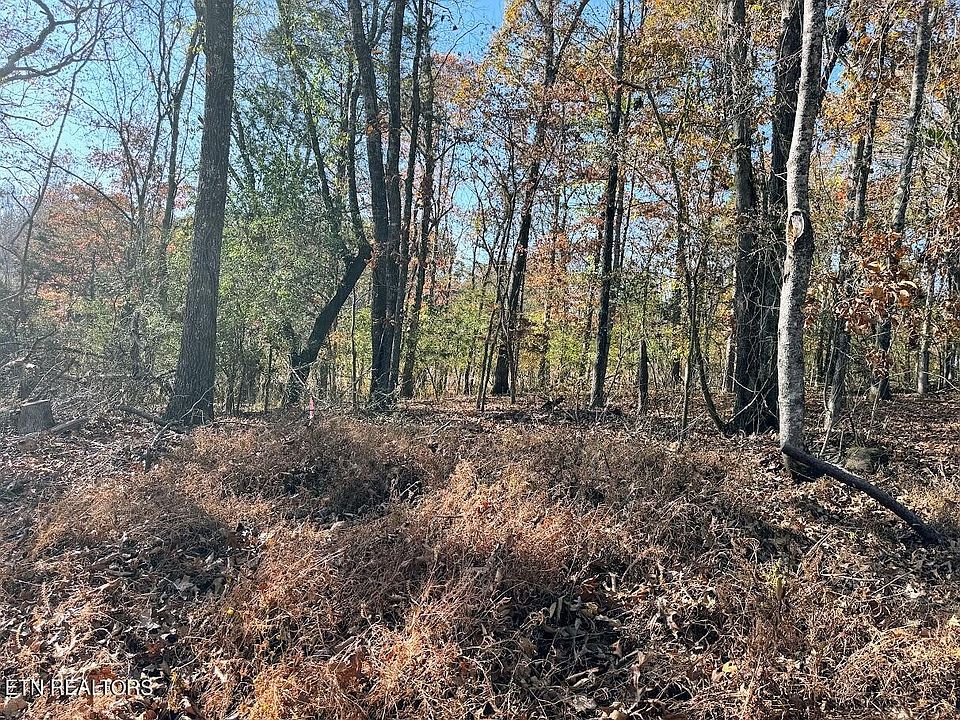 2nd image of 621 Thomas Ln #92