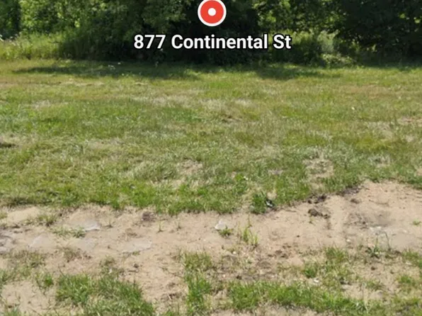 877 Continental St, Detroit, MI 48215