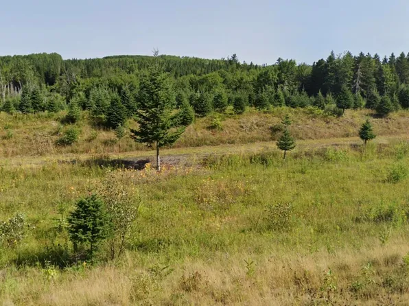 3629 Forties Rd, Franey Corner, NS B0R 1H0