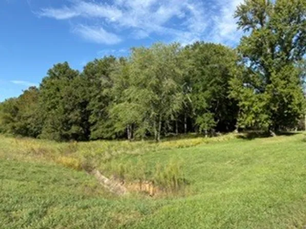 400 S Mayor Caliper Dr, Carterville, IL 62918