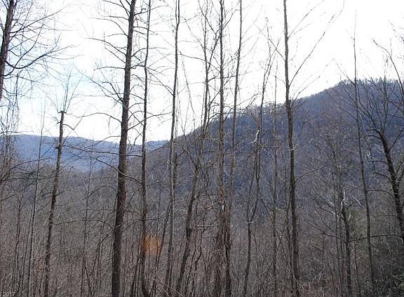 5th image of Majestic Ridge Dr Lot 25