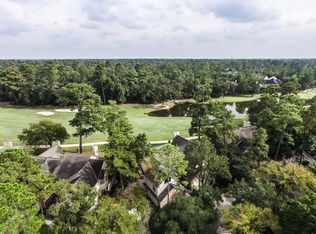 22 Fairway Oaks Pl, Spring, TX 77380