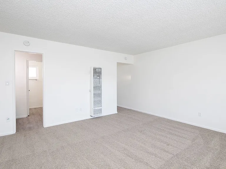 1128 Felspar Street — Photo 6