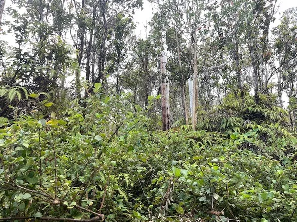 11-2855 Kilihune Rd Lot 8764, Volcano, HI 96785