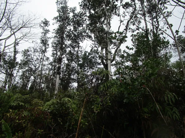 Road 8 Moho Lot 5004, Kurtistown, HI 96760