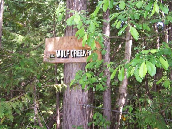2nd image of 12 Wolf Creek Rd