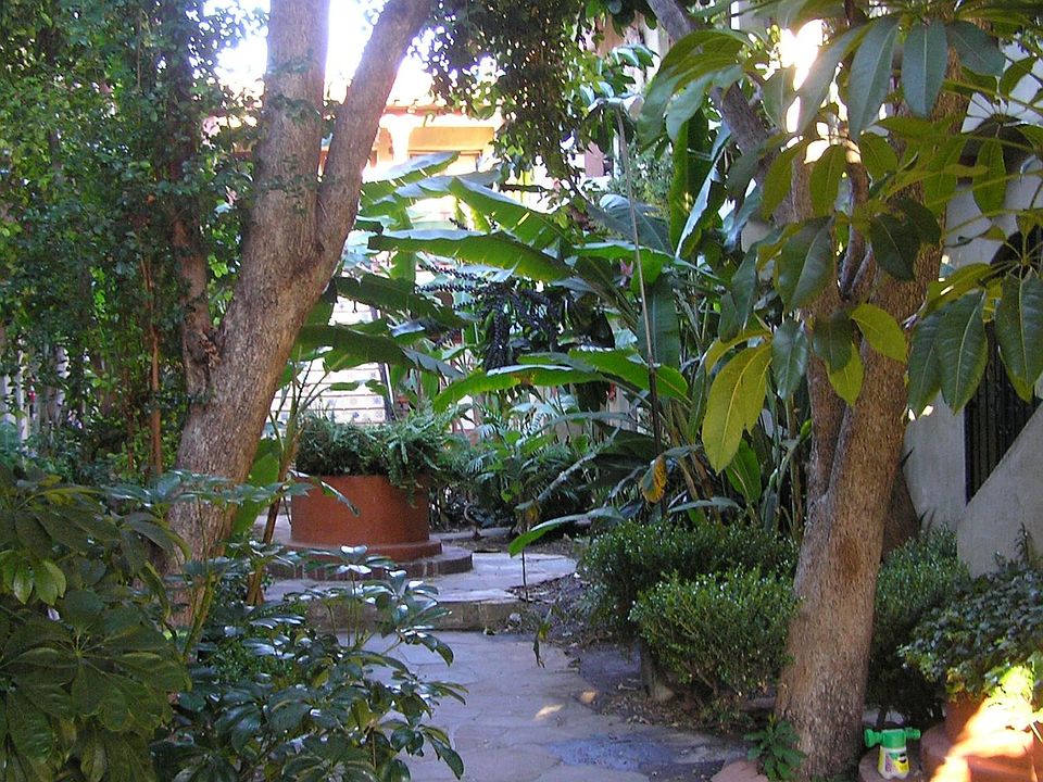 Building entry courtyard.