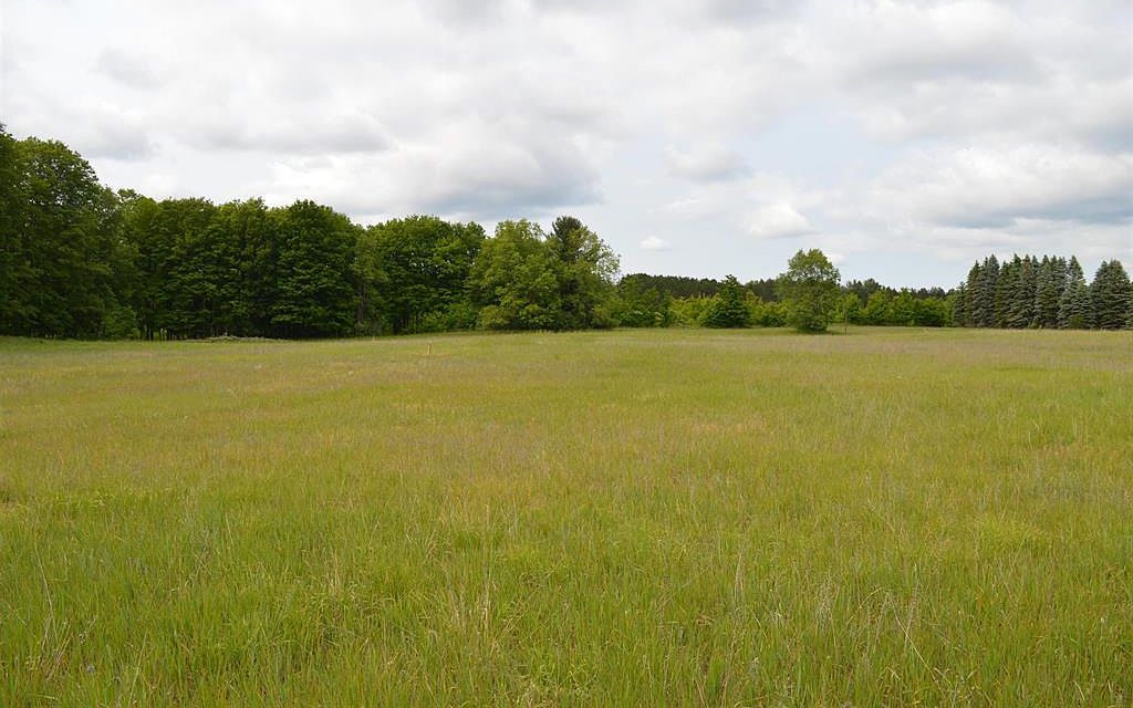 Summit City Rd, Kingsley, MI 49649 MLS 78080006585 Zillow