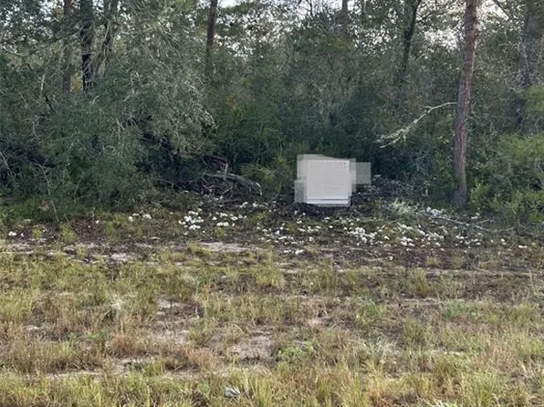17213 SW 28th Ave Lot 10, Ocala, FL 34473