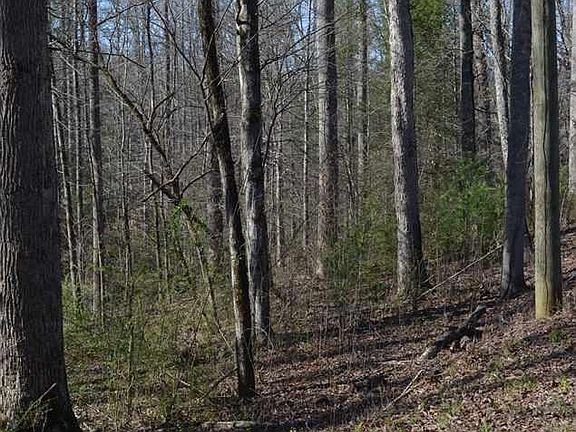 4th image of 0 Tom Henry Rd Lot 1
