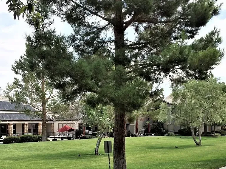555 E Silverado Ranch Blvd #2031 — Photo 2