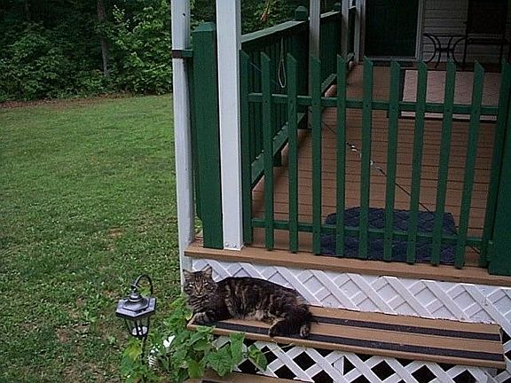 sun bathing