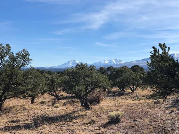 41 & 44 Cl&g Unit Aa, Gardner, CO 81040