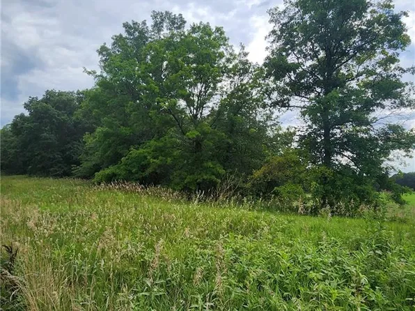 E 163rd St, Pleasant Hill, MO 64080