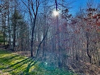 2nd image of 351 Pinoak Dr Lot 101