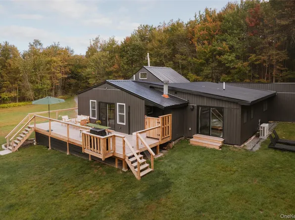 470 White Roe Lake Road, Livingston Manor, NY 12758