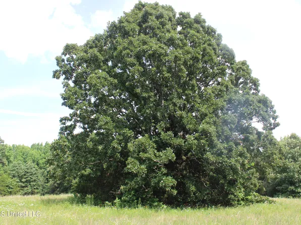 0 Turner Cv, Holly Springs, MS 38635