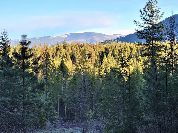 20 Misty Ridge Ln, Newport, WA 99156