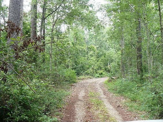 2nd image of 12371 Magnolia Marble Rd