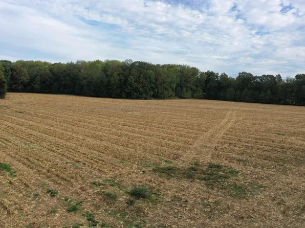 13700 State Highway 97, Farmington, KY 42040