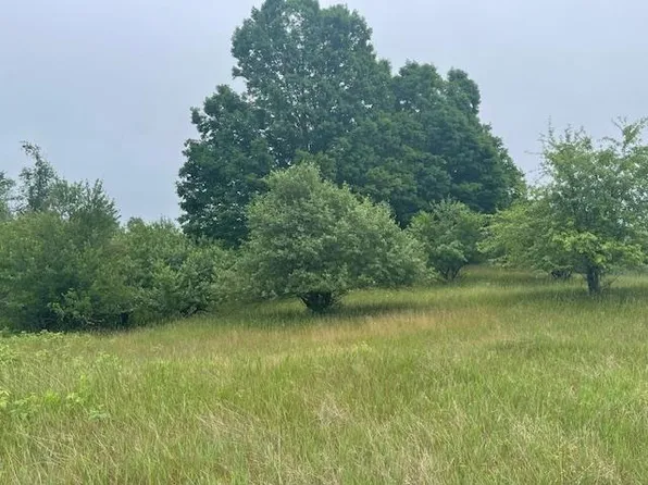 0 Cth W #H, Laona, WI 54541