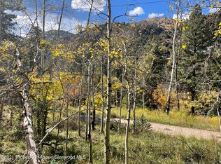 Tbd Bighorn Ln, Redstone, CO 81623