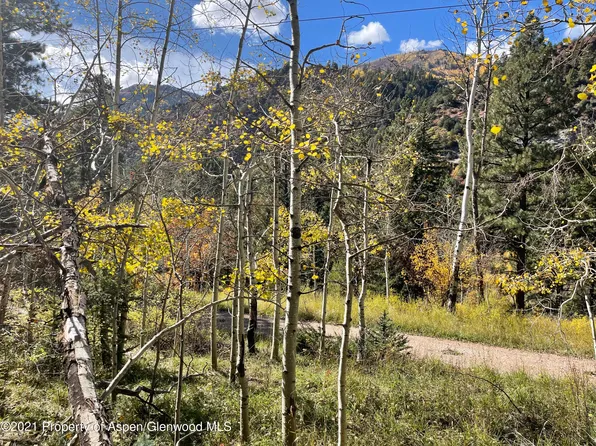 Tbd Bighorn Ln, Redstone, CO 81623