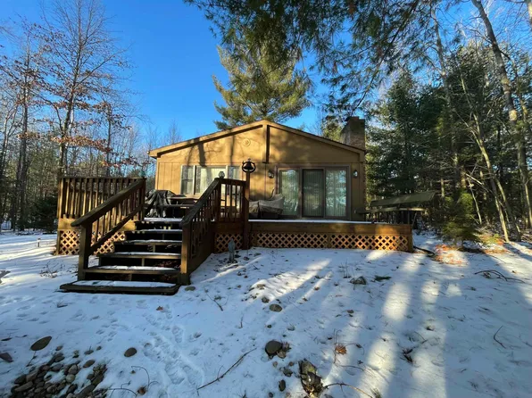 6299 Wolverine Trl, Alger, MI 48610