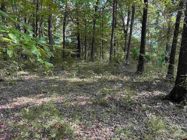182 County Road 512, Gassville, AR 72635