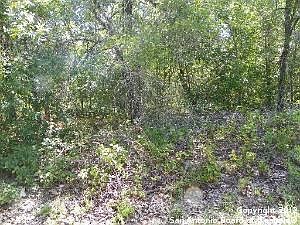 4th image of 3359 Owenwood Dr