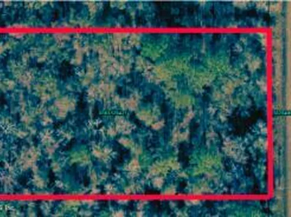 10115 VAUGHAN Avenue, Hastings, FL 32145