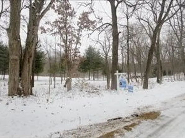 58802 Rumsey Rd, Three Rivers, MI 49093