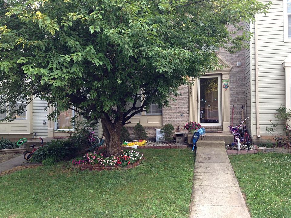 Front Yard view 2