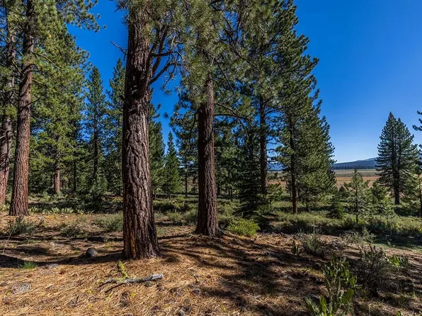 13281 Snowshoe Thompson Cir, Truckee, CA 96161