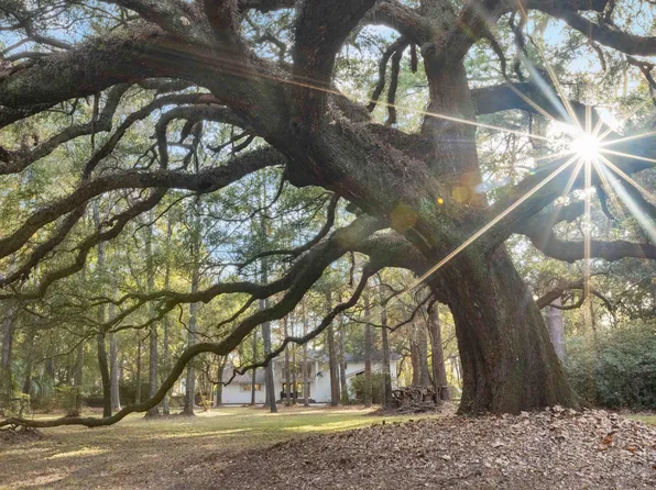 9875 Jamison Rd, Summerville, SC 29485