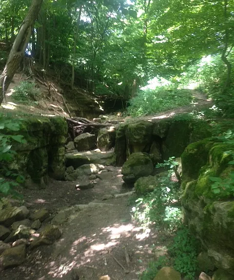 Spring in Glenwood Park