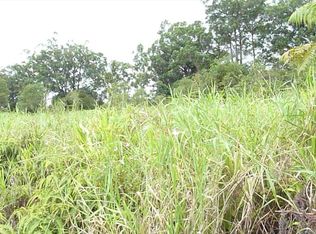 18-3931 S Kopua Rd LOT 158, Mountain View, HI 96771